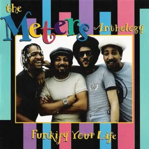 Funkify your life : the Meters anthology